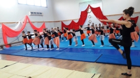 התעמלות אומנותית 7